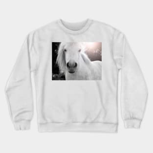 Wild Beauty Crewneck Sweatshirt